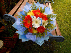 Radiant Gerbera Bouquet        - FBQ1303