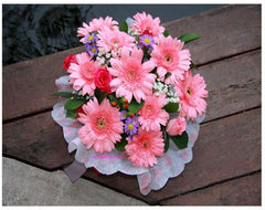 Pink Gerbera Arrangement  - TBF4047