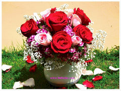 Red n Pink Blooms - TBF4022