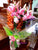Orchid & Lily Bouquet       - FBQ1007val