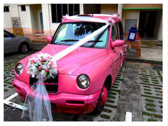 Standard Car Decoration Rental - REN6662