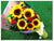 Huge Sunflower Bouquet - FBQ1092