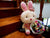 Rabbit with Fake Flower Bouquet     - BWF3595