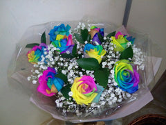 Rainbow Roses       - FBQ1299