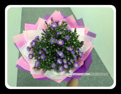 Phoenix Flower Bouquet       - FBQ1233