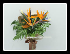 Simple Bird of Paradise Bouquet  - FBQ1371